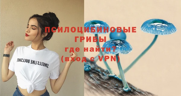 бошки Абаза