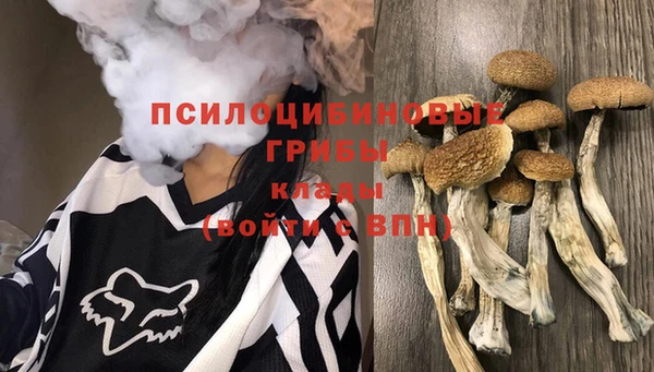 бошки Абаза