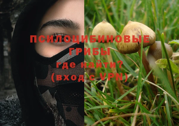 бошки Абаза