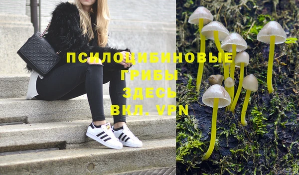 бошки Абаза