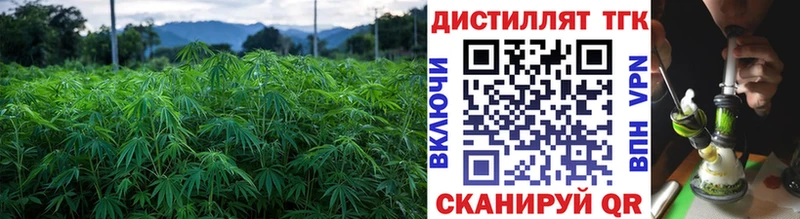 ТГК Wax  купить наркотики сайты  Карачев 